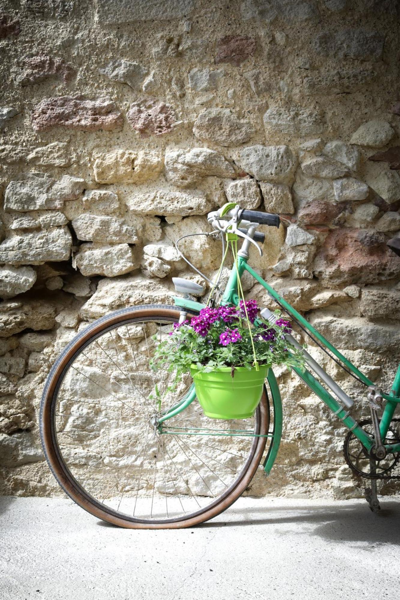 Les Ecrivains At Domaine Le Touran Near Saint Emilion Villa Pellegrue Exterior photo