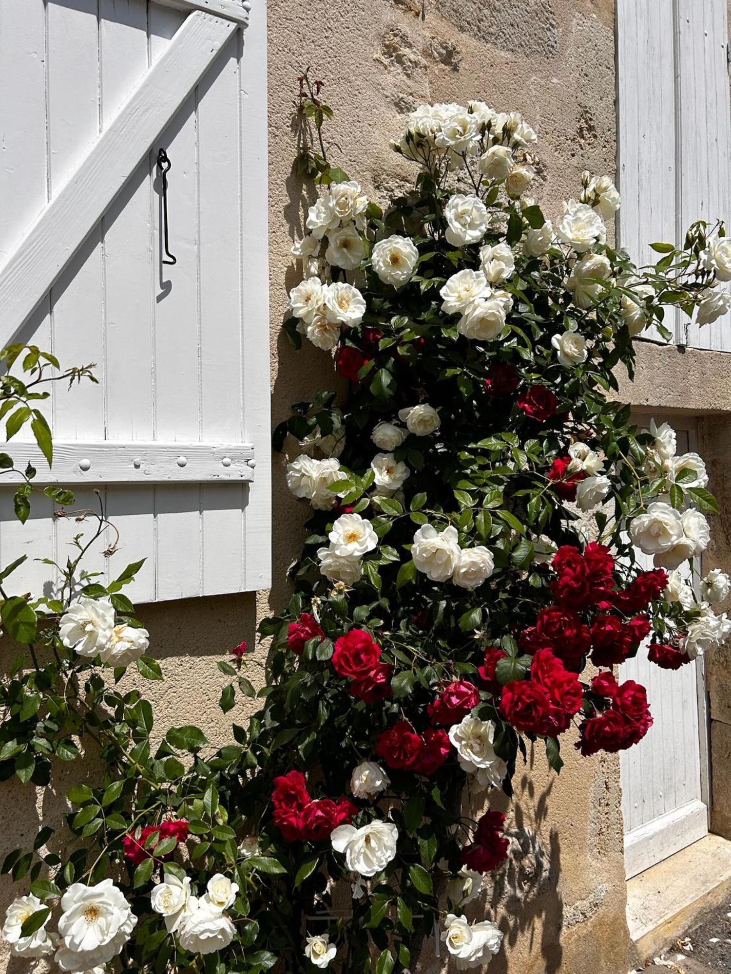 Les Ecrivains At Domaine Le Touran Near Saint Emilion Villa Pellegrue Exterior photo